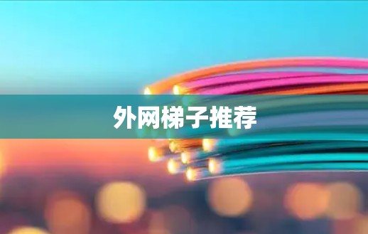外网梯子推荐