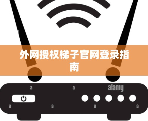 外网授权梯子官网登录指南