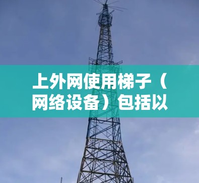 上外网使用梯子（网络设备）包括以下常见品牌和型号，这些设备根据网络需求进行配置和使用