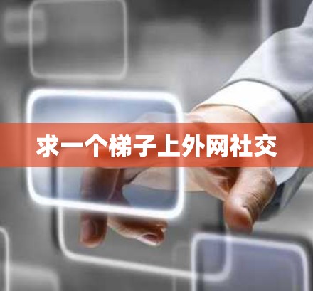 求一个梯子上外网社交