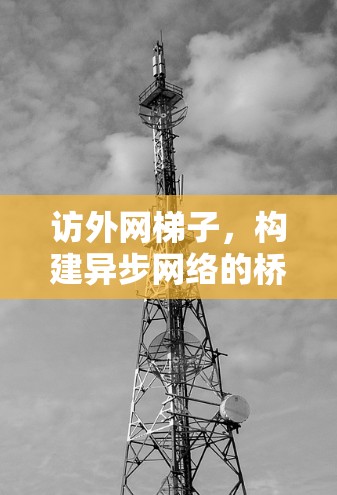 访外网梯子，构建异步网络的桥梁