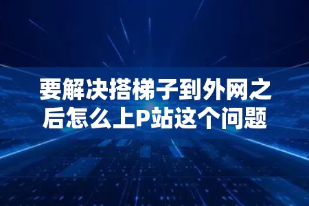 要解决搭梯子到外网之后怎么上P站这个问题，以下是一个清晰的步骤指南
