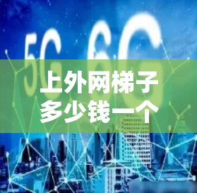 上外网梯子多少钱一个？哪种配置更适合你的需求？