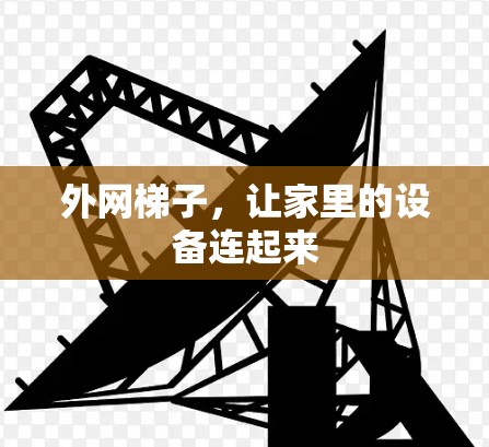 外网梯子，让家里的设备连起来