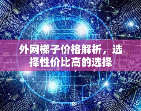 外网梯子价格解析，选择性价比高的选择