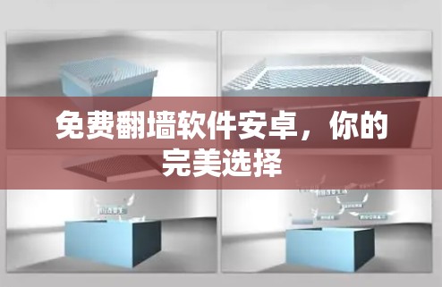免费翻墙软件安卓，你的完美选择