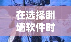 在选择翻墙软件时，应综合考虑多个因素，以确保能够高效且安全地解决网络连接问题。以下是一个结构化的解决方案