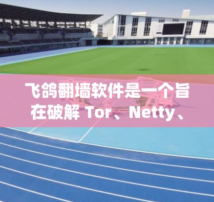 飞鸽翻墙软件是一个旨在破解 Tor、Netty、P2P等网络攻击工具的软件，旨在保护用户和网络的安全。以下是对该软件的逐步解释和总结