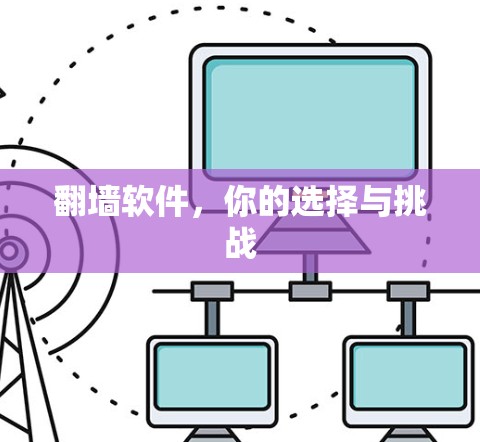 翻墙软件，你的选择与挑战