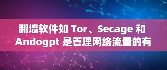 翻墙软件如 Tor、Secage 和 Andogpt 是管理网络流量的有效工具，各有其特定的功能和适用场景。以下是对这些软件的详细分类和总结
