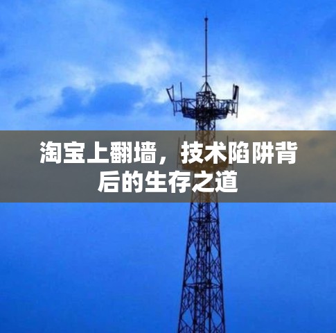 淘宝上翻墙，技术陷阱背后的生存之道