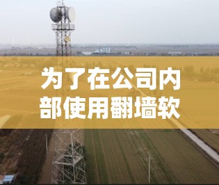 为了在公司内部使用翻墙软件，以下是一步步的建议