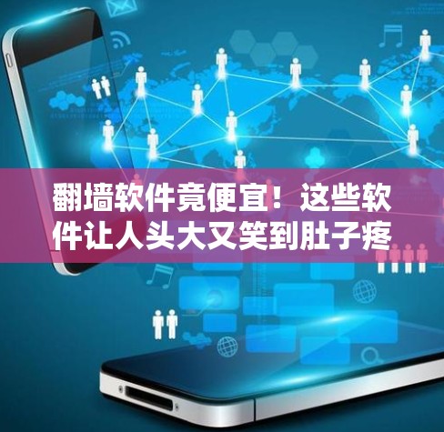 翻墙软件竟便宜！这些软件让人头大又笑到肚子疼！