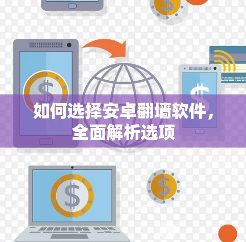 如何选择安卓翻墙软件，全面解析选项