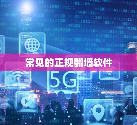 常见的正规翻墙软件