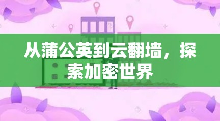 从蒲公英到云翻墙，探索加密世界