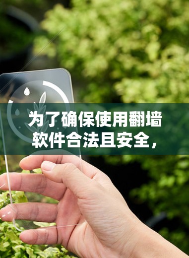 为了确保使用翻墙软件合法且安全，以下是一步步的建议