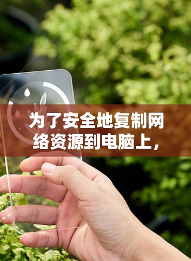 为了安全地复制网络资源到电脑上，以下是一步步的建议