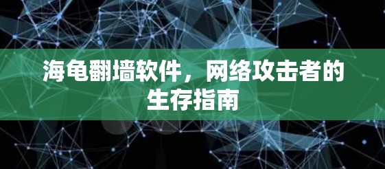 海龟翻墙软件，网络攻击者的生存指南