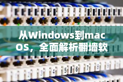 从Windows到macOS，全面解析翻墙软件的选择
