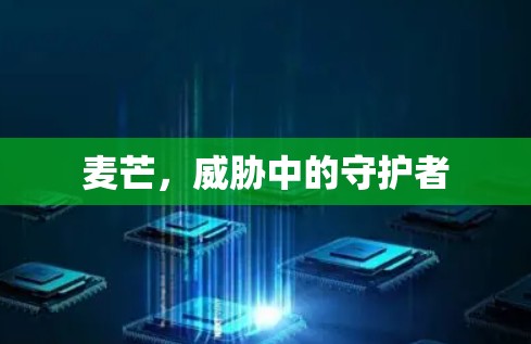 麦芒，威胁中的守护者
