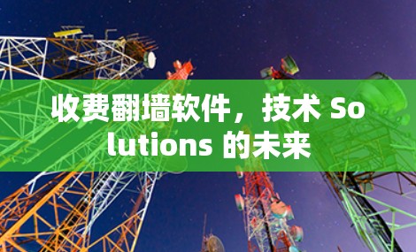 收费翻墙软件，技术 Solutions 的未来