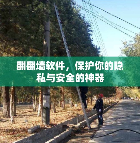 翻翻墙软件，保护你的隐私与安全的神器