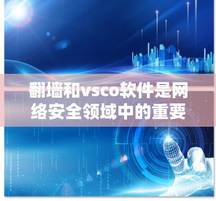 翻墙和vsco软件是网络安全领域中的重要概念，它们各自有不同的用途和作用。以下是对这两个术语的详细解释和区分