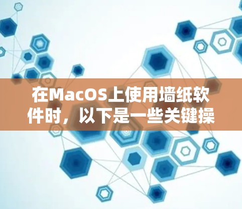 在MacOS上使用墙纸软件时，以下是一些关键操作步骤和设置方法