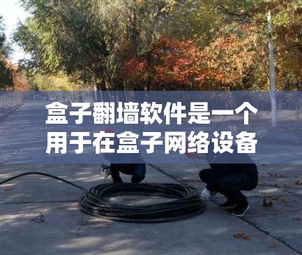 盒子翻墙软件是一个用于在盒子网络设备上自动处理数据传输和流量分配的工具。以下是对盒子翻墙软件的详细解释