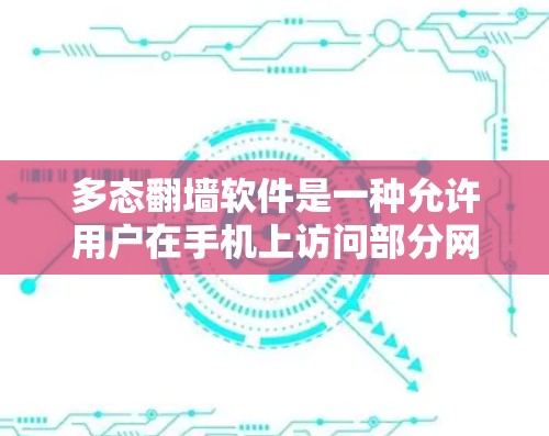 多态翻墙软件是一种允许用户在手机上访问部分网络资源的翻墙工具，通过多态层实现，满足不同用户的需求。以下是对其的详细分析