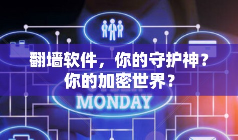 翻墙软件，你的守护神？你的加密世界？