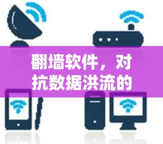 翻墙软件，对抗数据洪流的智慧之光