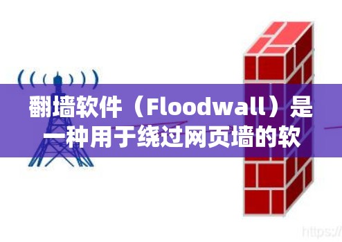 翻墙软件（Floodwall）是一种用于绕过网页墙的软件，允许用户访问互联网。以下是一些常见的翻墙软件及其特点，供您参考