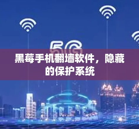 黑莓手机翻墙软件，隐藏的保护系统
