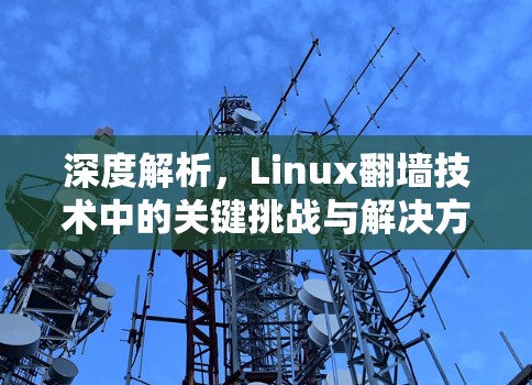 深度解析，Linux翻墙技术中的关键挑战与解决方案