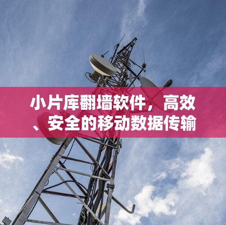 小片库翻墙软件，高效、安全的移动数据传输解决方案