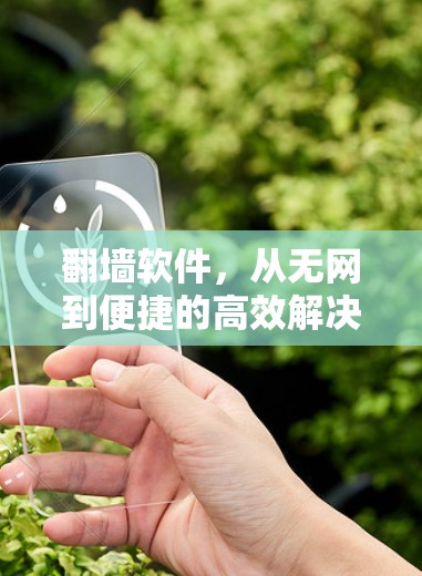 翻墙软件，从无网到便捷的高效解决方案