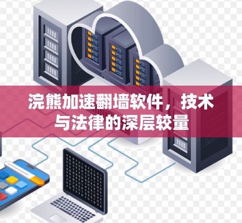 浣熊加速翻墙软件，技术与法律的深层较量