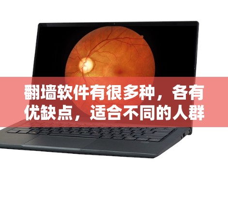 翻墙软件有很多种，各有优缺点，适合不同的人群。以下是几种常见的翻墙软件推荐，供您参考