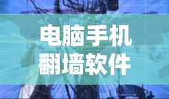 电脑手机翻墙软件是一种用于保护用户隐私和安全的工具，通过在网络上访问安全的网站或应用。以下是一些常见的翻墙软件及其使用方法
