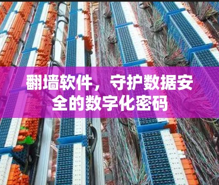 翻墙软件，守护数据安全的数字化密码