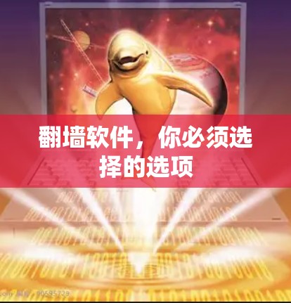 翻墙软件，你必须选择的选项