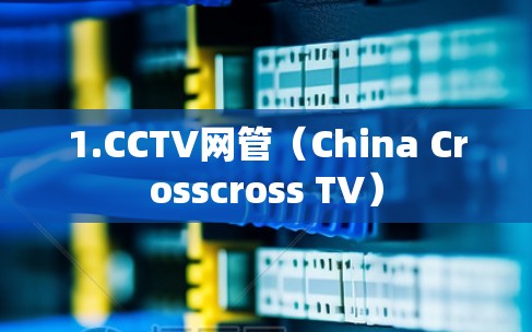 1.CCTV网管（China Crosscross TV）
