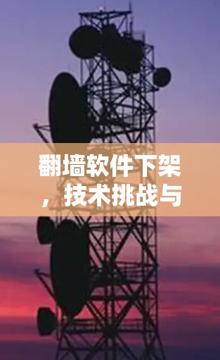 翻墙软件下架，技术挑战与解决方案