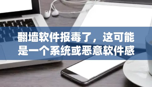 翻墙软件报毒了，这可能是一个系统或恶意软件感染导致的。以下是一些步骤，帮助你解决问题